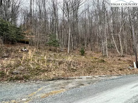 100 Fireweed Ln, Beech Mountain, NC 28604 photo 9