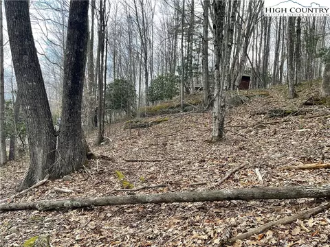 100 Fireweed Ln, Beech Mountain, NC 28604 photo 5