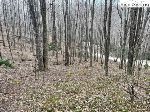 100 Fireweed Ln, Beech Mountain, NC 28604 photo 4