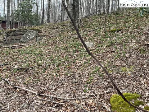 100 Fireweed Ln, Beech Mountain, NC 28604 photo 6