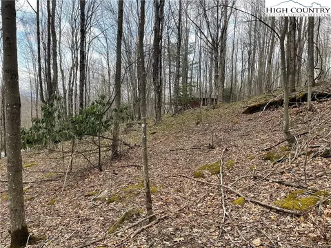 100 Fireweed Ln, Beech Mountain, NC 28604 photo 2
