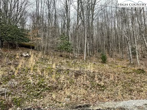 100 Fireweed Ln, Beech Mountain, NC 28604 photo 7