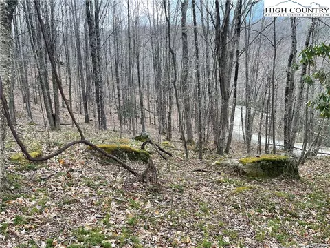 100 Fireweed Ln, Beech Mountain, NC 28604 photo 3