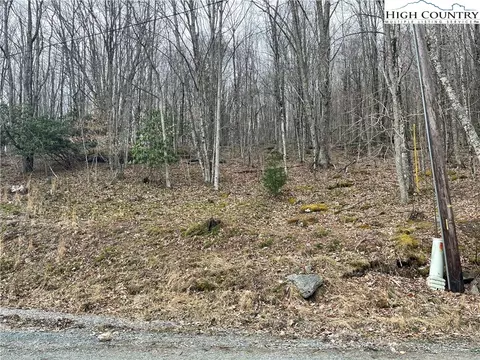 100 Fireweed Ln, Beech Mountain, NC 28604 photo 8