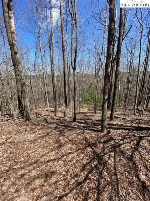 lot G Skyview St, Deep Gap, NC 28618 photo 9