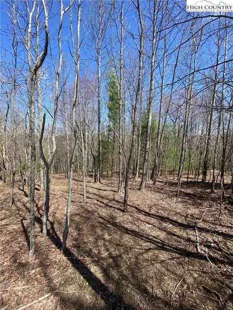 lot G Skyview St, Deep Gap, NC 28618 photo 4