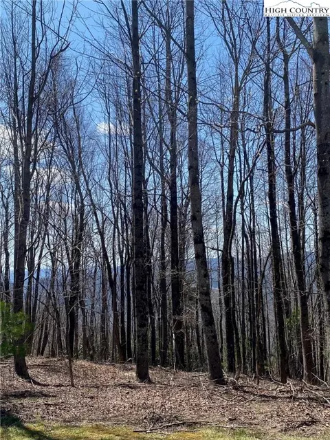 lot G Skyview St, Deep Gap, NC 28618 photo 7