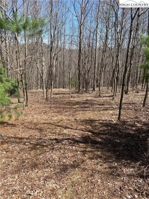 lot G Skyview St, Deep Gap, NC 28618 photo 2