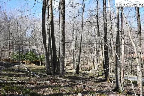 132 Overbrook Trl, Beech Mountain, NC 28604 photo 6