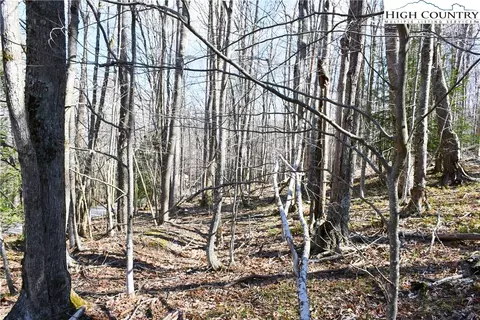 132 Overbrook Trl, Beech Mountain, NC 28604 photo 3