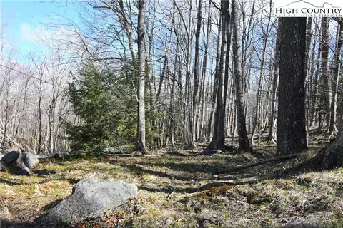 132 Overbrook Trl, Beech Mountain, NC 28604 photo 2