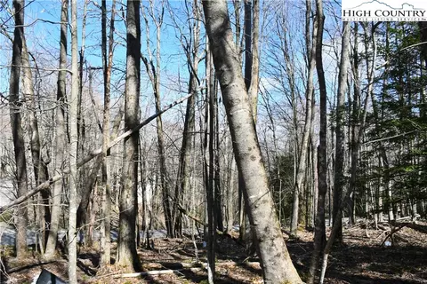 132 Overbrook Trl, Beech Mountain, NC 28604 photo 7