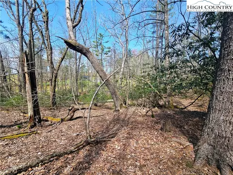 tbd Ebenezer Rd, Jefferson, NC 28640 photo 23