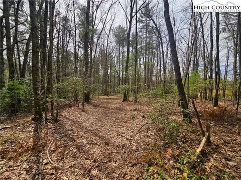 tbd Ebenezer Rd, Jefferson, NC 28640 photo 5