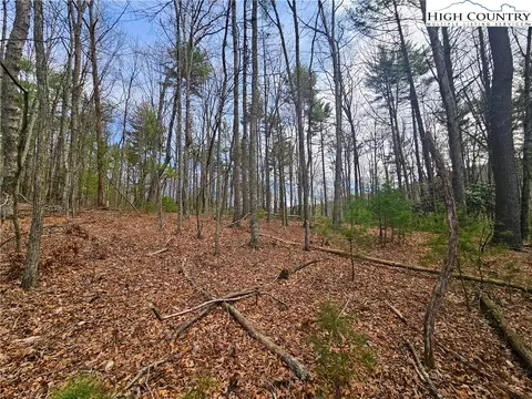 tbd Ebenezer Rd, Jefferson, NC 28640 photo 10