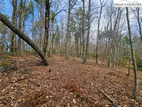 tbd Ebenezer Rd, Jefferson, NC 28640 photo 6
