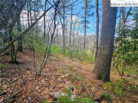 tbd Ebenezer Rd, Jefferson, NC 28640 photo 21