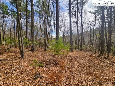 tbd Ebenezer Rd, Jefferson, NC 28640 photo 3