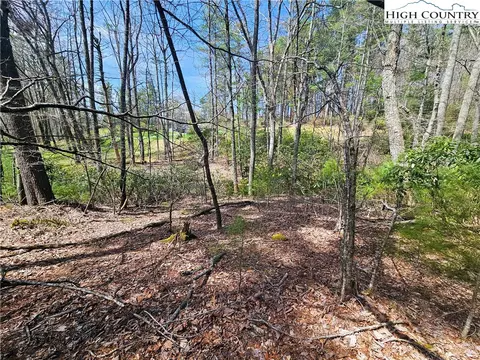 tbd Ebenezer Rd, Jefferson, NC 28640 photo 22