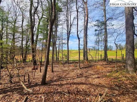 tbd Ebenezer Rd, Jefferson, NC 28640 photo 7