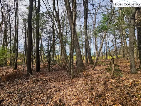 tbd Ebenezer Rd, Jefferson, NC 28640 photo 4