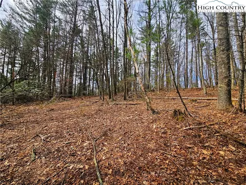 tbd Ebenezer Rd, Jefferson, NC 28640 photo 2