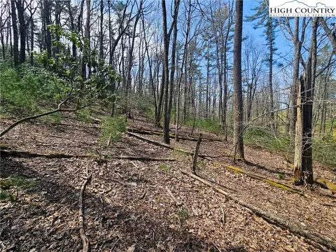 tbd Ebenezer Rd, Jefferson, NC 28640 photo 8