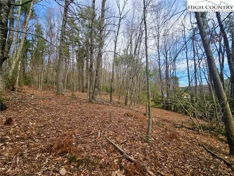 tbd Ebenezer Rd, Jefferson, NC 28640 photo 9