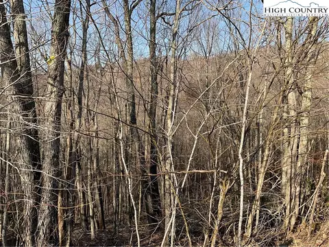 134 Lower Snowbird Trl, Banner Elk, NC 28604