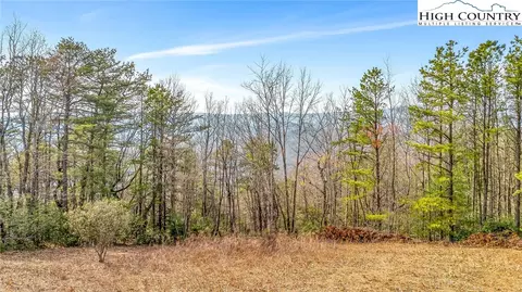 tbd White Oak Rd, Purlear, NC 28665 photo 6