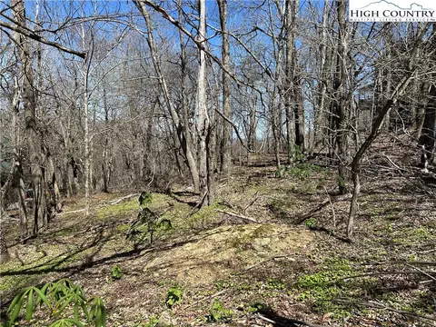 lot1 Alpine Dr, Seven Devils, NC 28604 photo 9