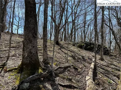 lot1 Alpine Dr, Seven Devils, NC 28604 photo 5