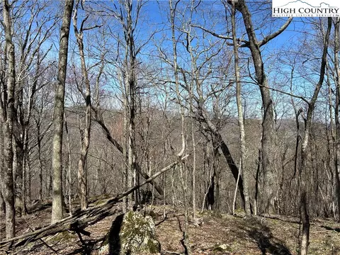 lot1 Alpine Dr, Seven Devils, NC 28604 photo 7