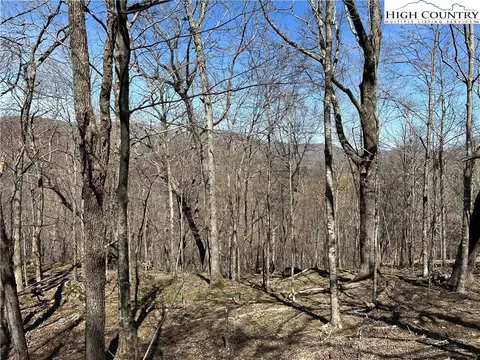 lot1 Alpine Dr, Seven Devils, NC 28604 photo 4