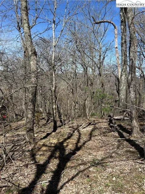 lot1 Alpine Dr, Seven Devils, NC 28604 photo 3