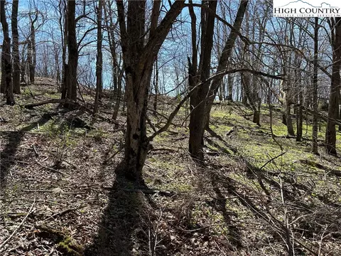 lot1 Alpine Dr, Seven Devils, NC 28604 photo 8