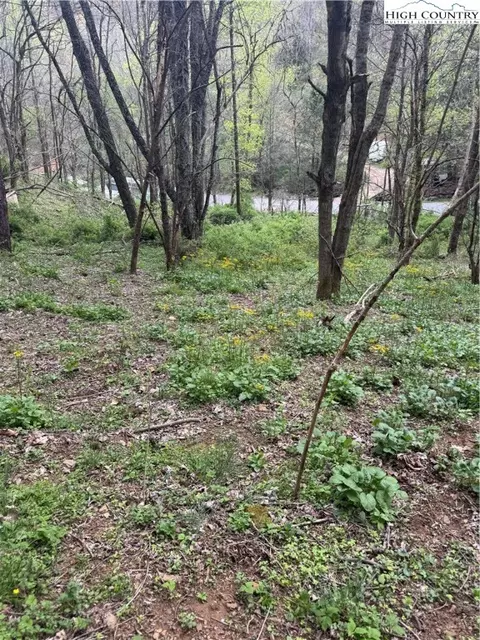 tbd Birchfield Crk, Newland, NC 28657