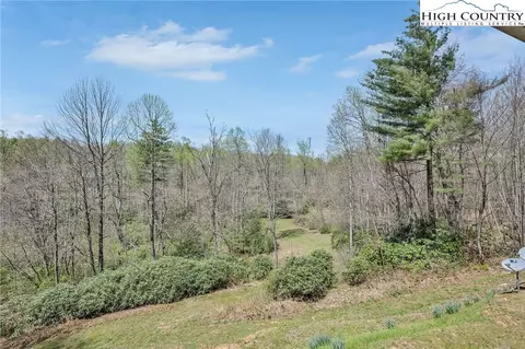 101 Spring Haven Dr, Fancy Gap, VA 24328 photo 2