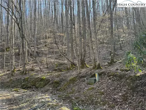 lot2 Buckeye Ridge Rd, Beech Mountain, NC 28604 photo 3
