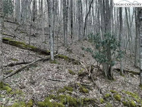 lot2 Buckeye Ridge Rd, Beech Mountain, NC 28604 photo 5