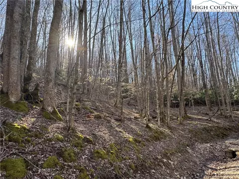 lot2 Buckeye Ridge Rd, Beech Mountain, NC 28604
