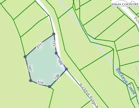 lot2 Buckeye Ridge Rd, Beech Mountain, NC 28604 photo 6
