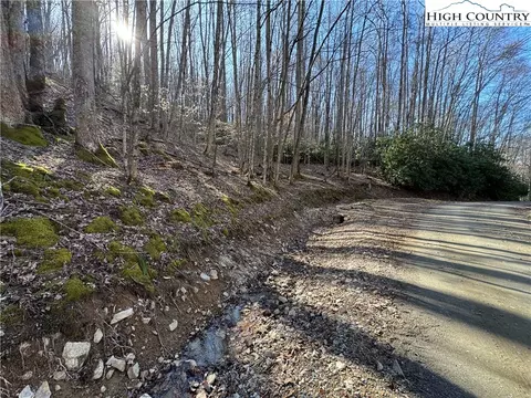 lot2 Buckeye Ridge Rd, Beech Mountain, NC 28604 photo 4