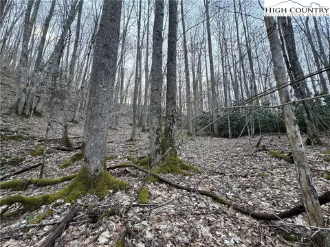lot2 Buckeye Ridge Rd, Beech Mountain, NC 28604 photo 2