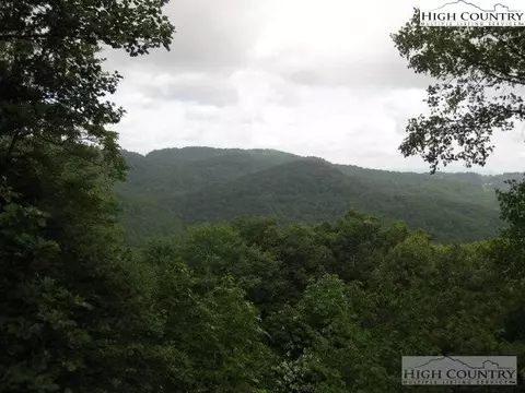103 Bear Paw Path, Beech Mountain, NC 28604 photo 3