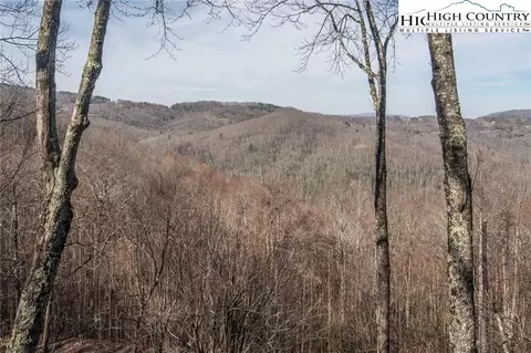 103 Bear Paw Path, Beech Mountain, NC 28604 photo 2
