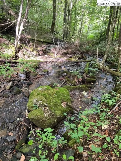 tbd Double Head Mountain Rd, Newland, NC 28657