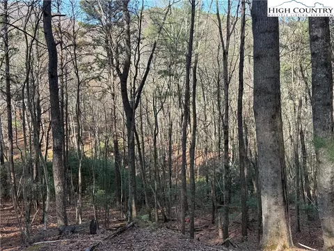 tbd W Laurel Cir, Deep Gap, NC 28618 photo 2