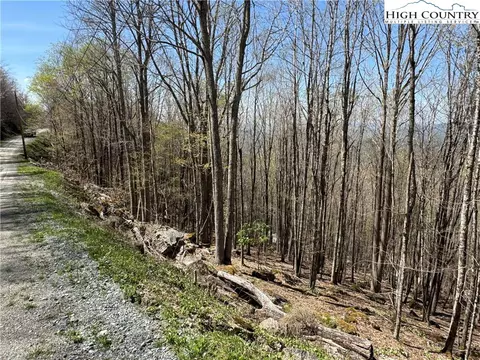 137 W 139 141 And 143 W Blueberry Ln, Beech Mountain, NC 28604
