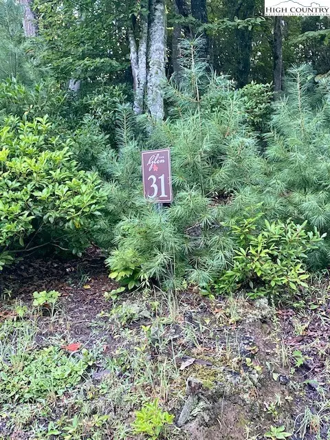 lot31 Thoreau Ct, West Jefferson, NC 28694